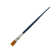 AG PENSULA CAP DREPT